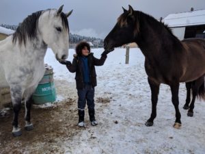 Méditations pour les enfants - Equicoaching - Nathalie Horcath Hasenauer